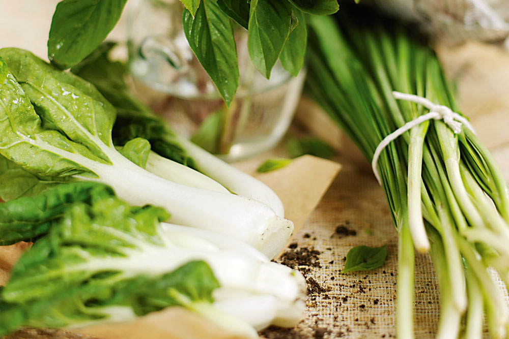 cooking-with-asian-herbs-new-zealand-handyman-magazine