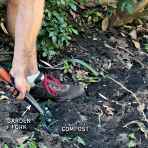 Step 2. Dig in compost 