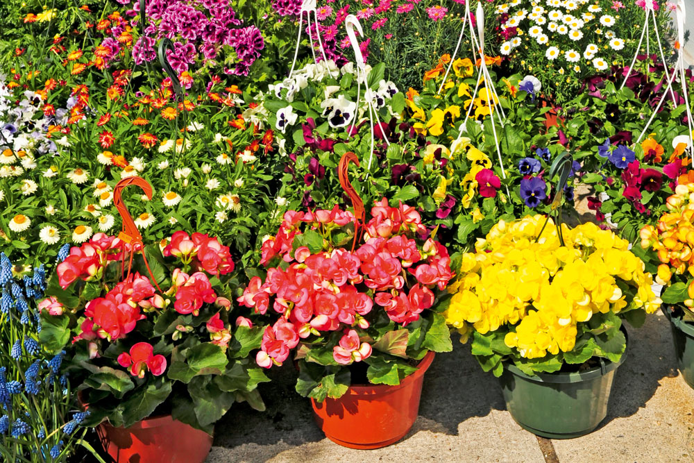 Install Hanging Baskets