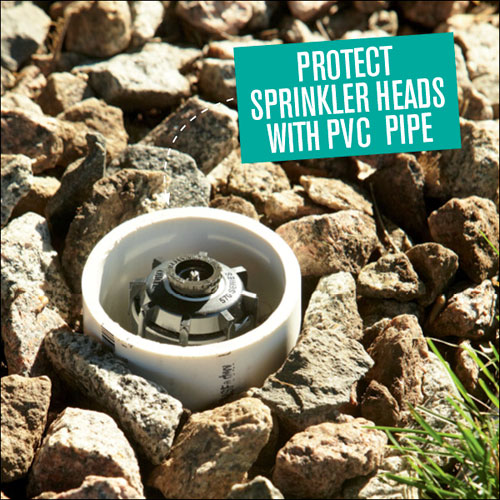 Protect Sprinkler Heads With PVC Pipe