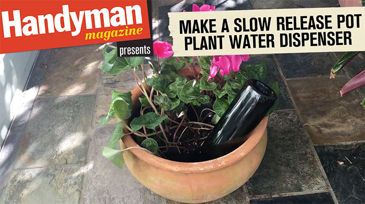 Turn A Wine Bottle Into A Self Watering System