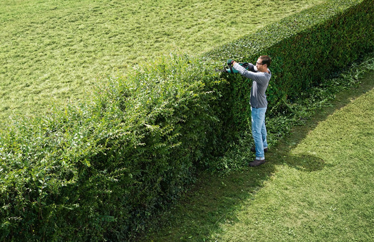 How to trim your hedges like a pro New Zealand Handyman Magazine