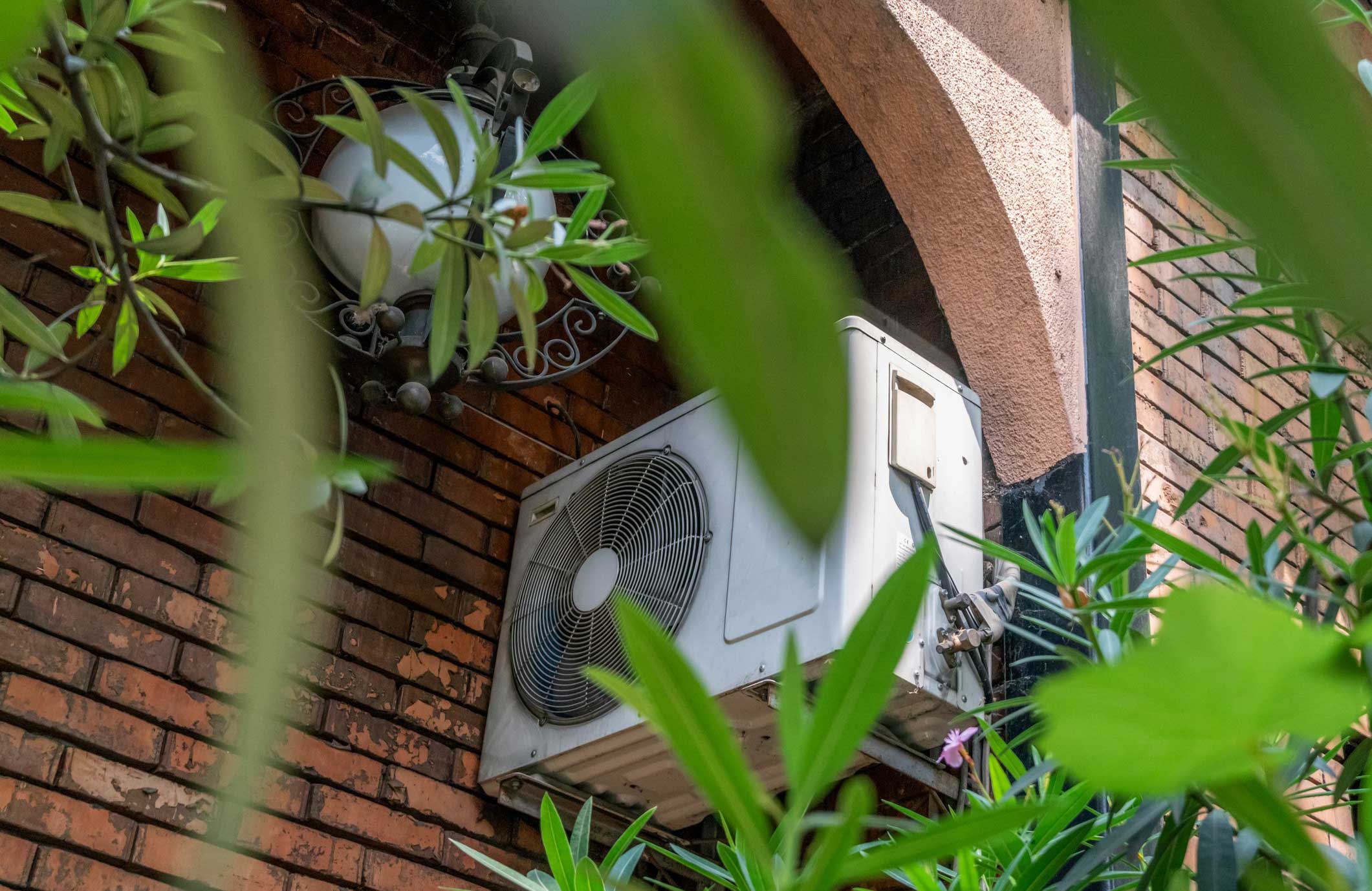 Trim shrubs around air-conditioning units