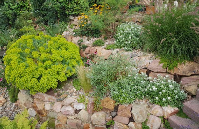 The nature of rock garden design