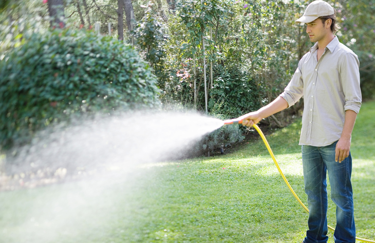 You need to water your lawn every day