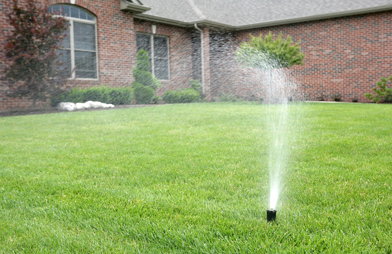 Watering grass in the evening is best