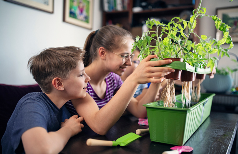 How does hydroponic gardening work?