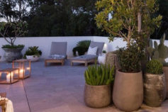 Ideas for landscaping with potted plants