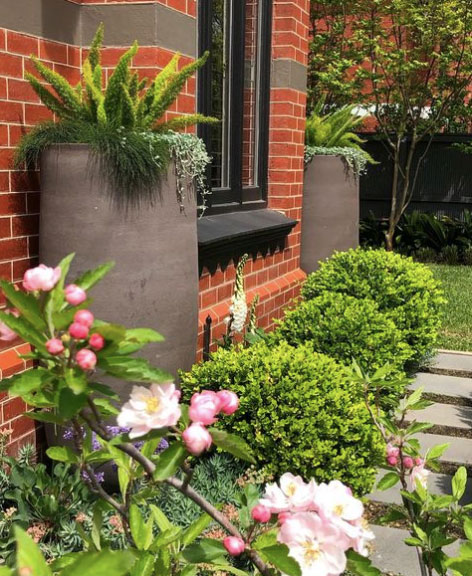 Tall potted plants